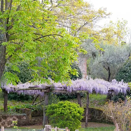 Villa Il Paglieto - Natura, Stelle, Relax E Piscina *