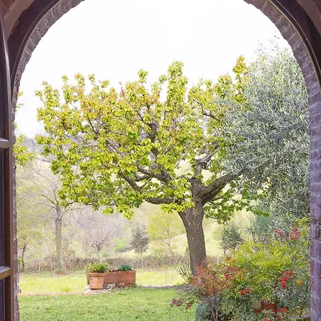 Il Paglieto - Natura, Stelle, Relax E Piscina La Campigliola