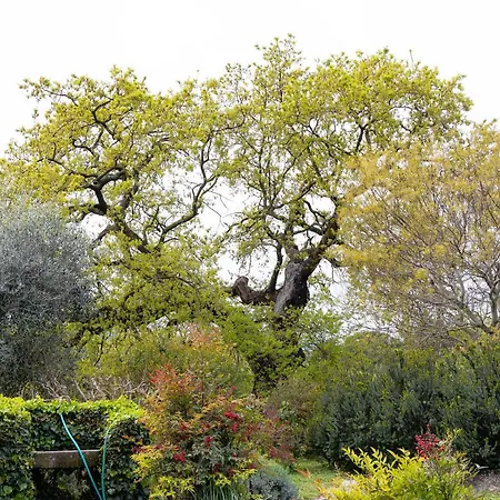Il Paglieto - Natura, Stelle, Relax E Piscina * La Campigliola