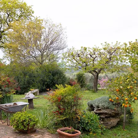 Villa Il Paglieto - Natura, Stelle, Relax E Piscina La Campigliola